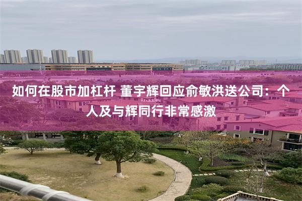 如何在股市加杠杆 董宇辉回应俞敏洪送公司：个人及与辉同行非常感激