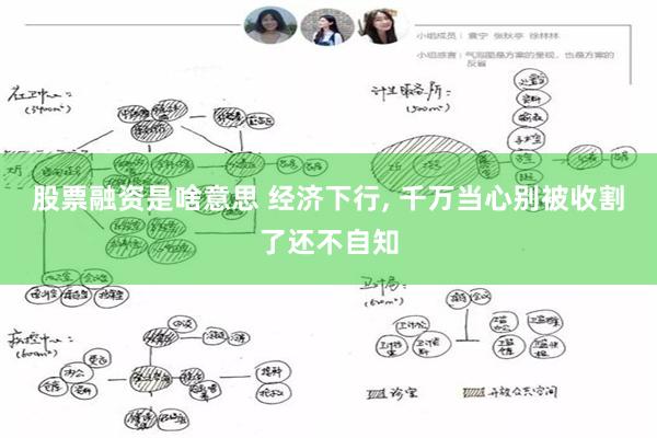 股票融资是啥意思 经济下行, 千万当心别被收割了还不自知