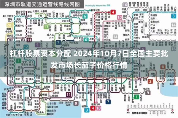 杠杆股票资本分配 2024年10月7日全国主要批发市场长茄子价格行情