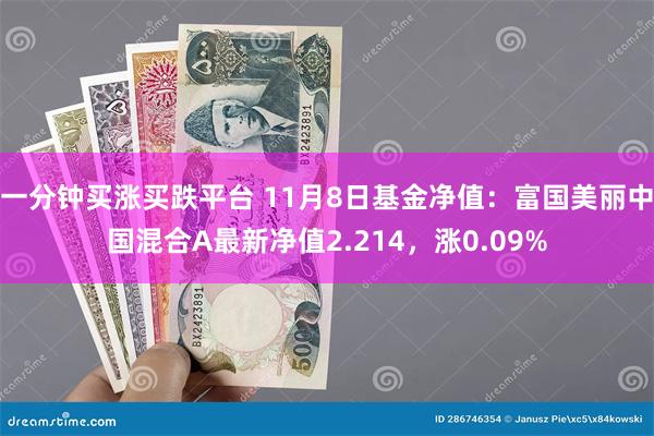 一分钟买涨买跌平台 11月8日基金净值：富国美丽中国混合A最新净值2.214，涨0.09%