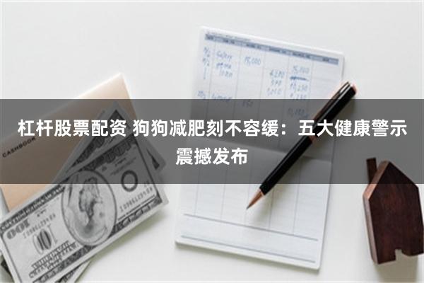 杠杆股票配资 狗狗减肥刻不容缓：五大健康警示震撼发布