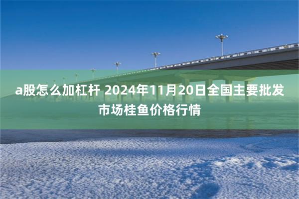 a股怎么加杠杆 2024年11月20日全国主要批发市场桂鱼价格行情