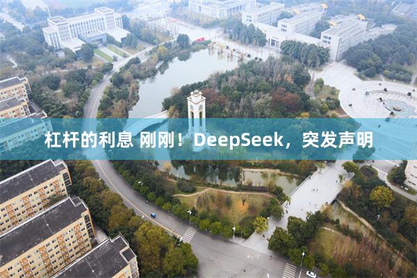 杠杆的利息 刚刚！DeepSeek，突发声明