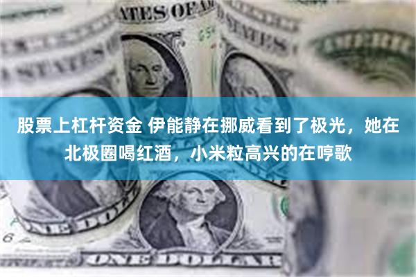 股票上杠杆资金 伊能静在挪威看到了极光，她在北极圈喝红酒，小米粒高兴的在哼歌